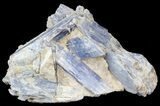 Tabular Kyanite Crystals with Quartz - Brazil #44999-1